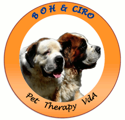 pet therapy